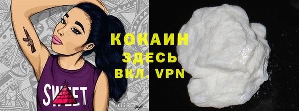хмурый Арсеньев
