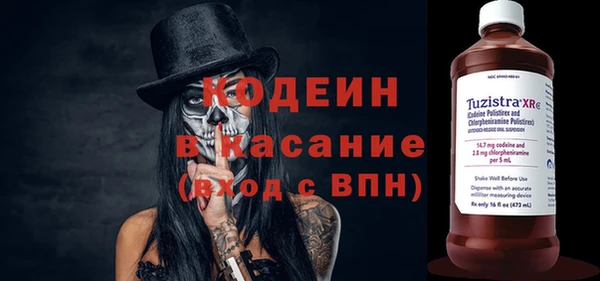 хмурый Арсеньев