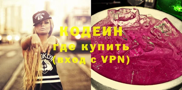 хмурый Арсеньев